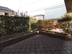 中庭の明るい光景