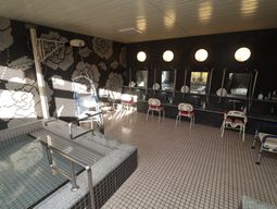 清潔な浴室の様子