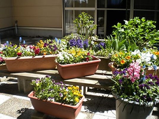 花壇のある中庭  