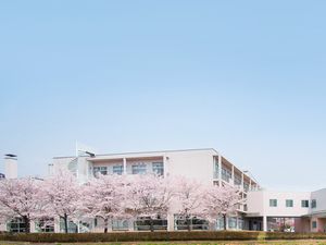 桜並木の外観  