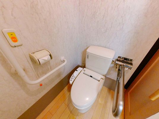 機能的なトイレ