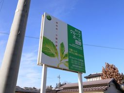 緑豊かな看板と青空