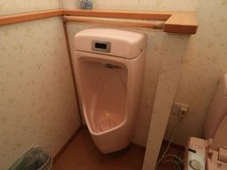 清潔な男性用トイレ