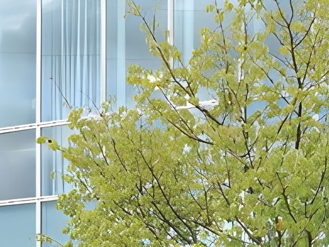 木々とガラスの外観 外観 自然に囲まれた外観です。ガラス張りが開放感を演出しています。