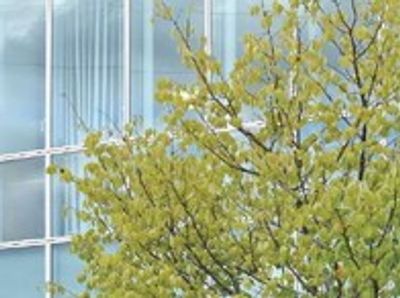 木々とガラスの外観