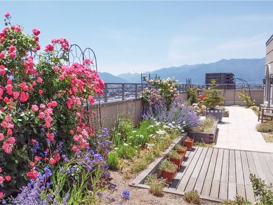 花咲く屋上庭園  