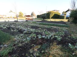 広々とした庭の風景