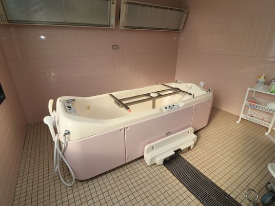 手すり付きの清潔な浴室