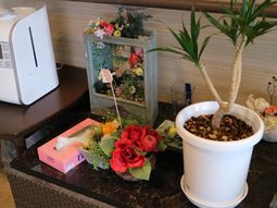 居室の飾り付け