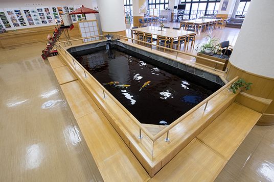 大きな池のあるラウンジ