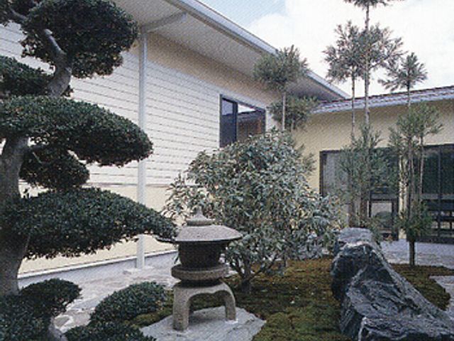 穏やかな庭の中庭 中庭 緑豊かな中庭は、リラックスできる空間です。自然を感じながら穏やかな時間を過ごせます。