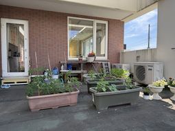 植物が並ぶ屋外スペース