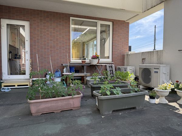 植物が並ぶ屋外スペース