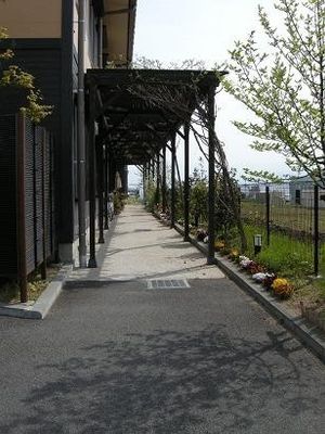 緑豊かな通路