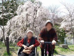 車椅子と散歩道の庭