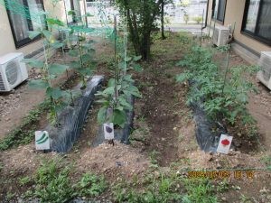 地域密着型 介護老人福祉施設ハーモニー沢村の外観