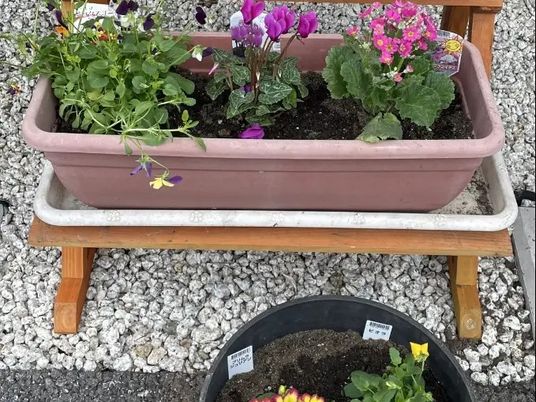花壇のある庭  