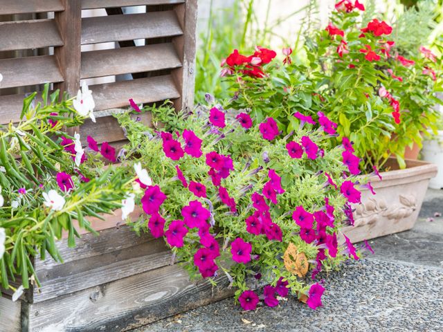 カラフルな草花の中庭 中庭 木製のパーテーションに彩られた草花が、穏やかな雰囲気を醸し出しており、訪れる方々の癒しの空間となっています。