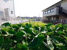 緑豊かな施設の庭