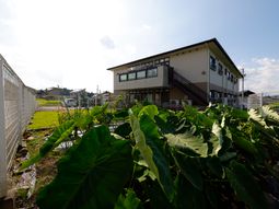 緑豊かな外観