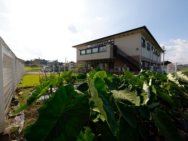 緑豊かな外観