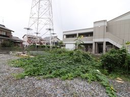 建物外観と植物