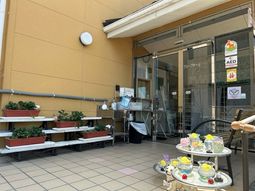 エントランス植物と装飾