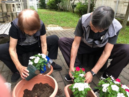 庭で植物を手入れする人々
