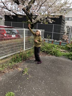 和やかな雰囲気の中庭