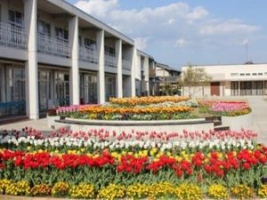 花壇のある外観  