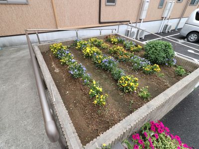 花壇のある庭