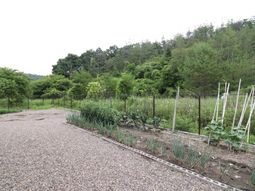 緑に囲まれた庭園