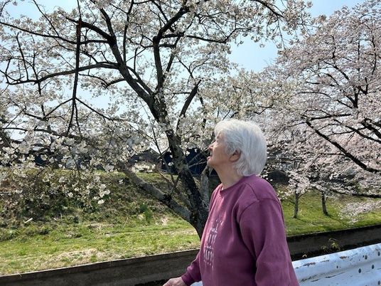 桜のある庭