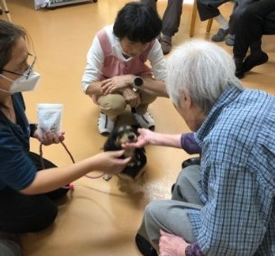 動物と共に過ごす部屋