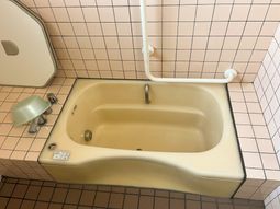 清潔な浴槽の浴室