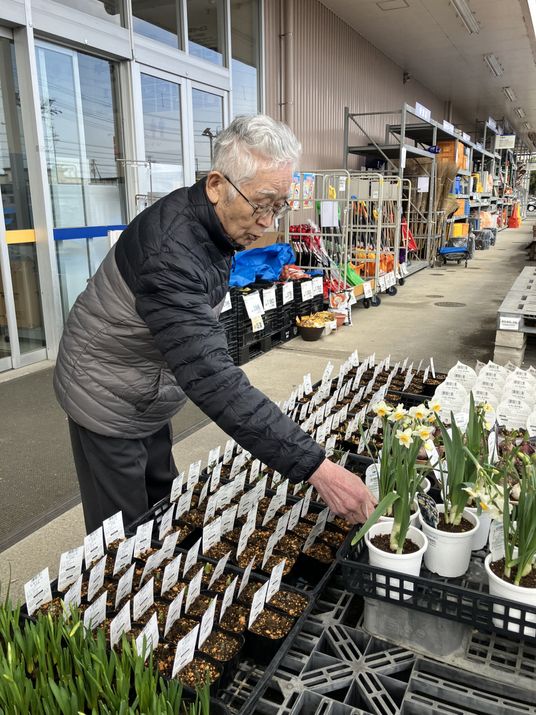花を選ぶ様子の庭