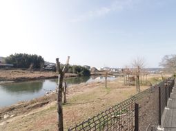 川沿いの庭の景色