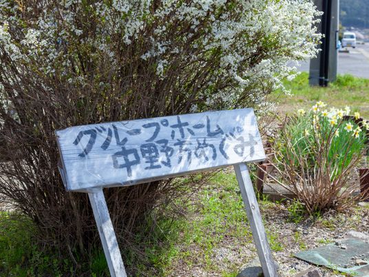 白い花が咲く中庭入口