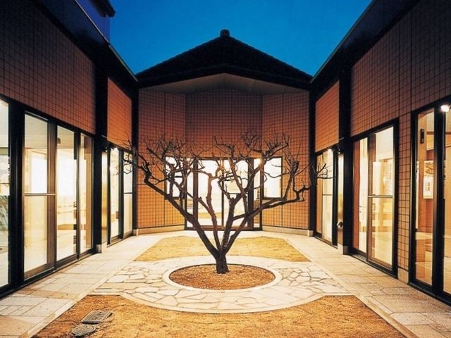 中央に植栽のある中庭 中庭 静かな中庭は、四方からの自然光が温かく迎えてくれます。リラックスできる環境です。