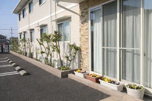 入り口付近の植栽