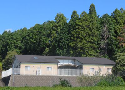 緑豊かな環境の施設外観