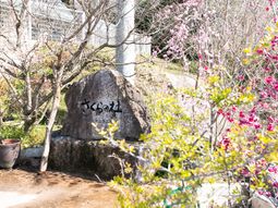 石の看板と花々