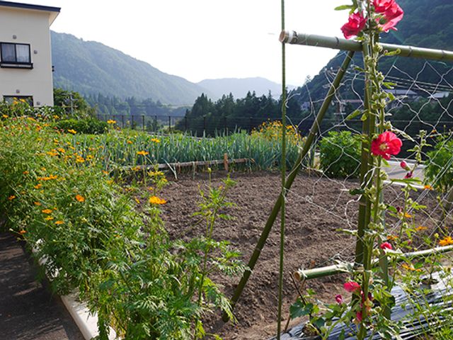 自然豊かな庭 庭 色とりどりの花が咲く庭は、リラックスした時間を過ごすのにぴったりです。風景を楽しむことができます。