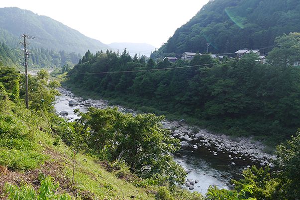 緑豊かな谷の風景