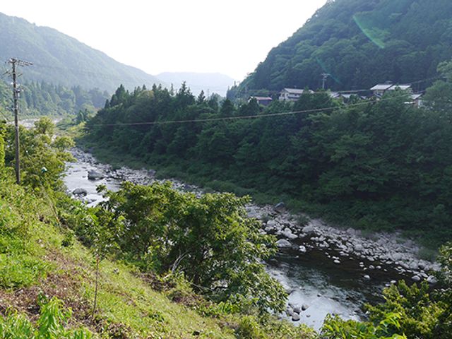 緑豊かな谷の風景 庭 自然に囲まれた静かな環境で、リラックスできる時間を過ごせます。心地よい気候も魅力です。