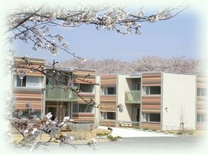 桜越しの外観  