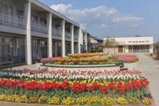 色とりどりの花壇の庭