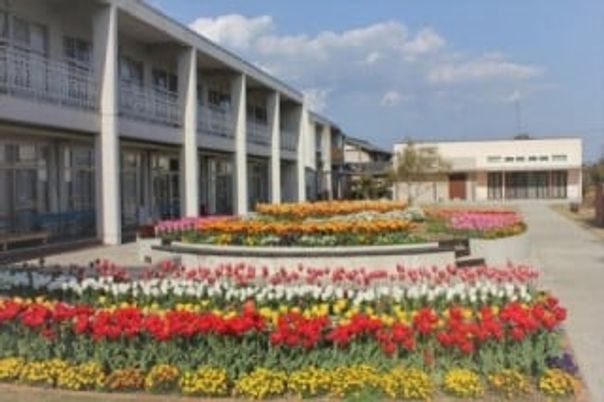 色とりどりの花壇の庭