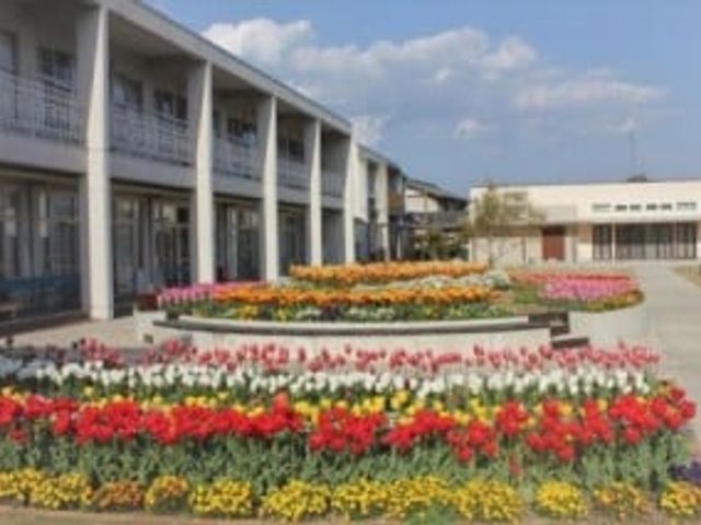 色とりどりの花壇の庭 庭 カラフルな花々が咲き誇る庭です。明るい雰囲気が、訪れる人々を歓迎してくれます。