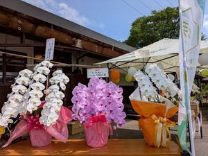 花で飾る屋外の受付前  
